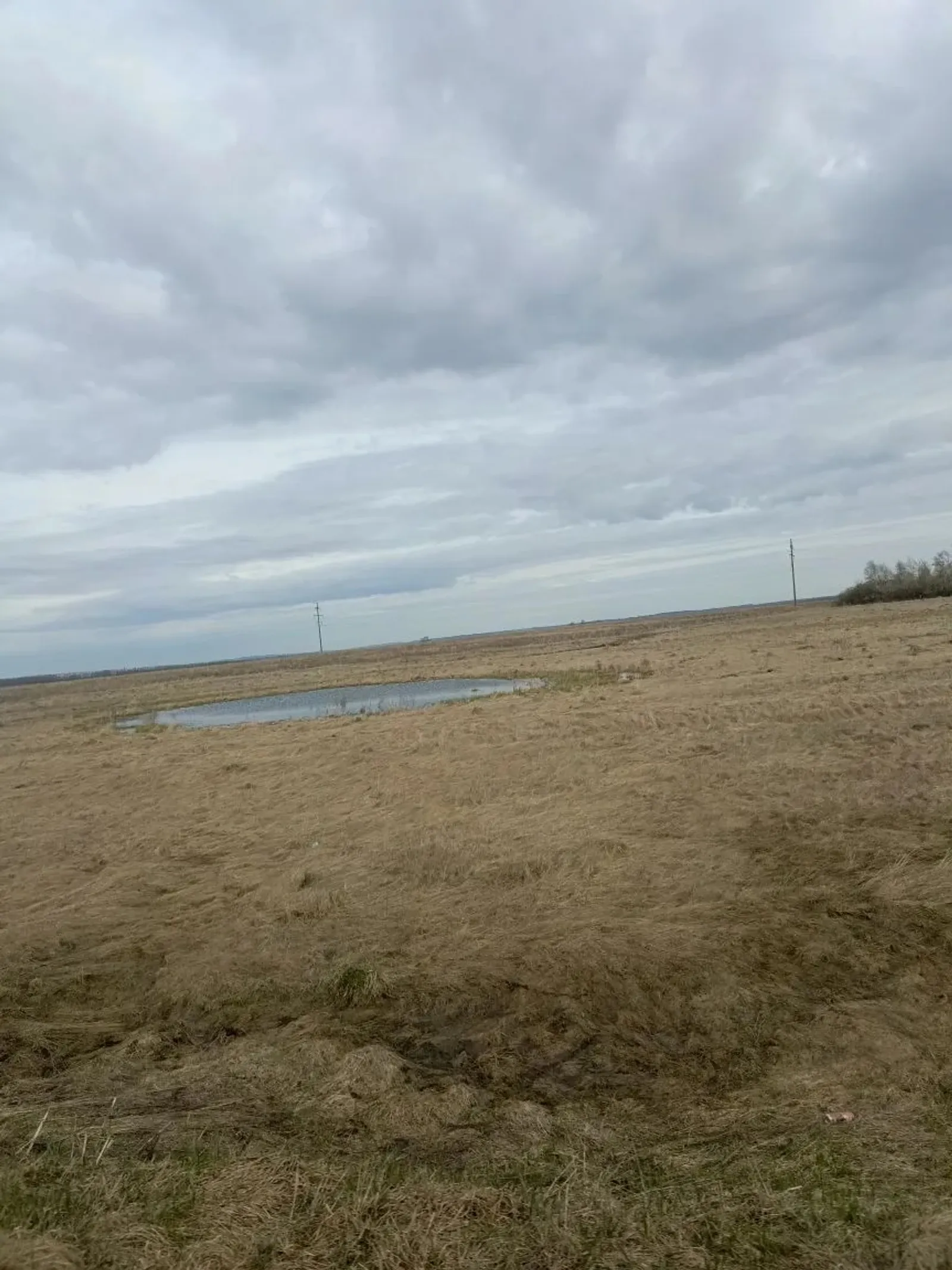 В Башкирию из Москвы придёт похолодание