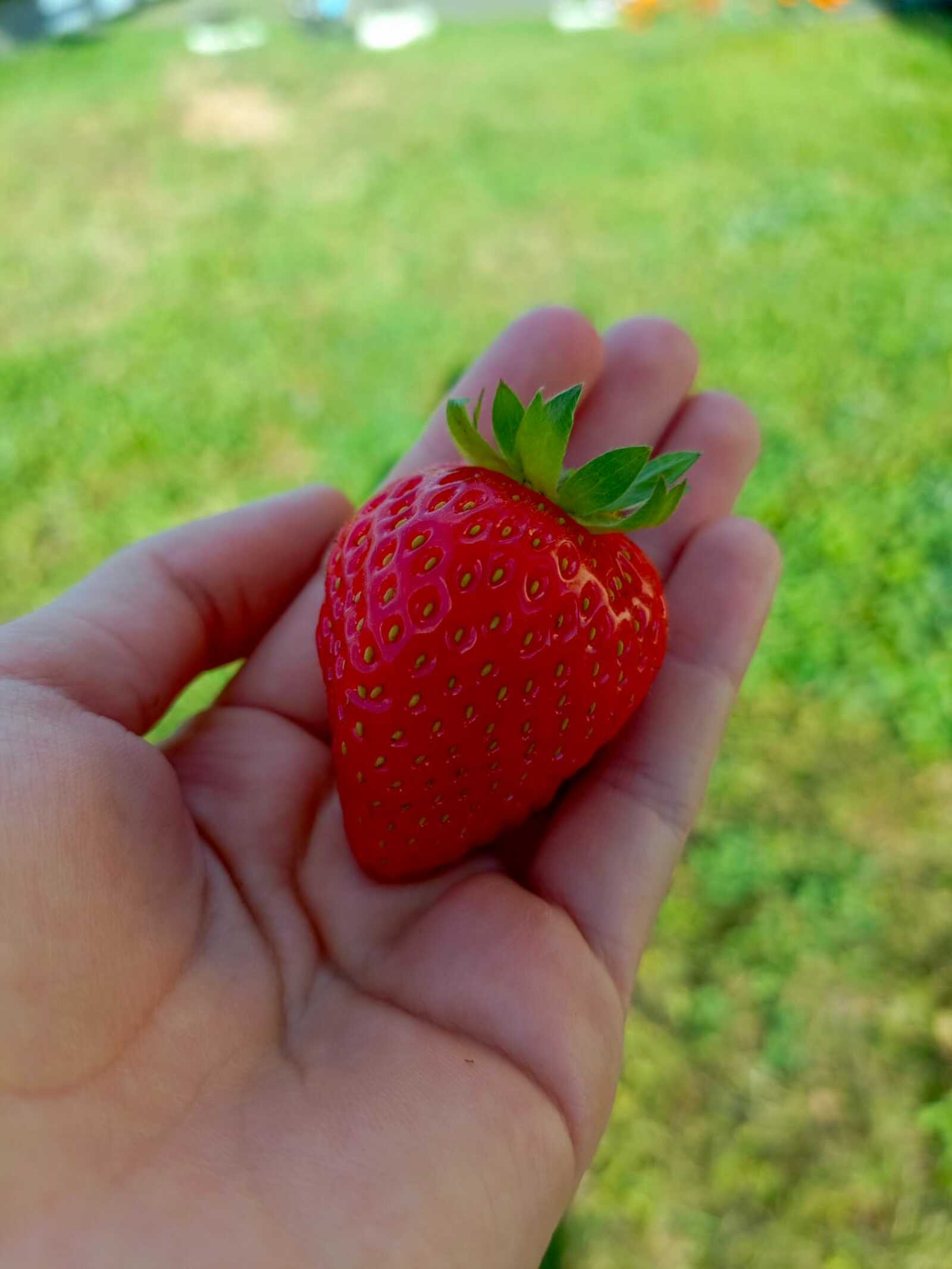 Әсә йөрәге – әүлиә. Хикәйә. Гөлсирә Ғиззәтуллина