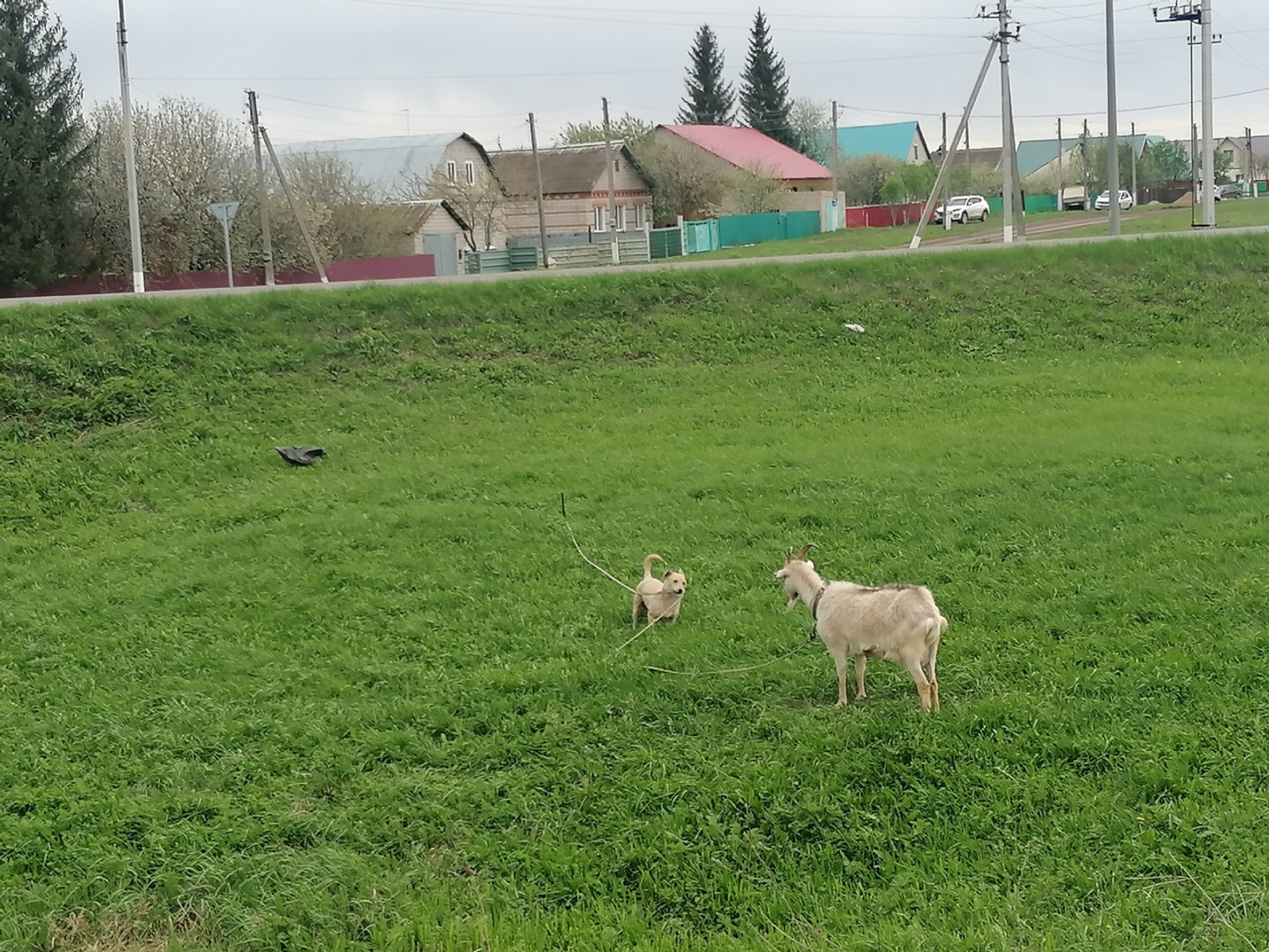 Проблемалар күплегенә зарланаһыңмы?