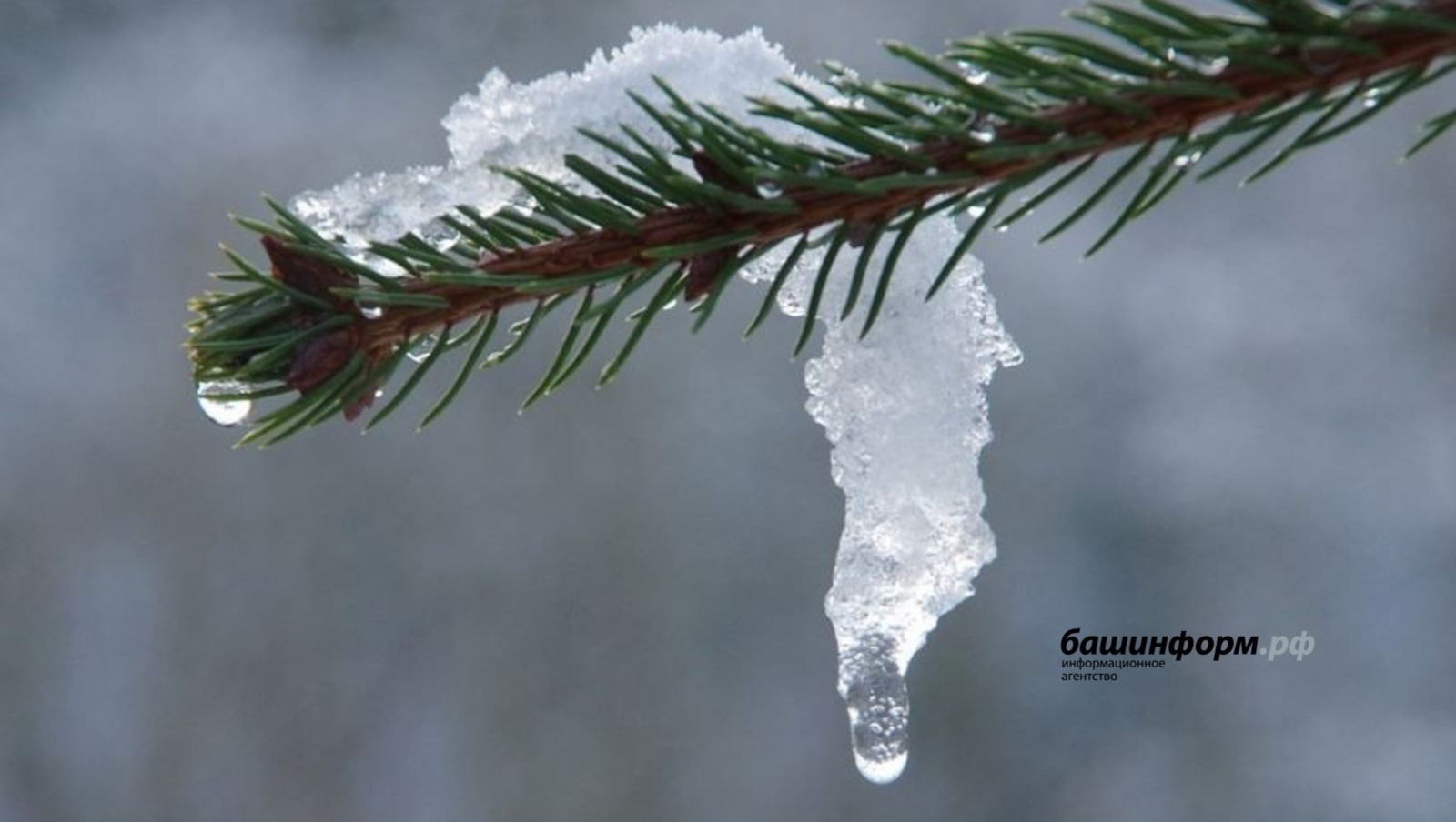 Аномаль йылы көслө һыуытыуға алмашына