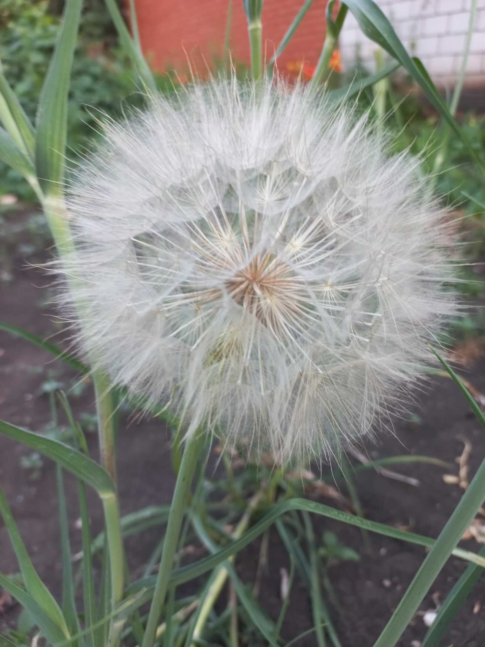 "Ғүмер буйы көтәсәкмен һине!" Хикәйә