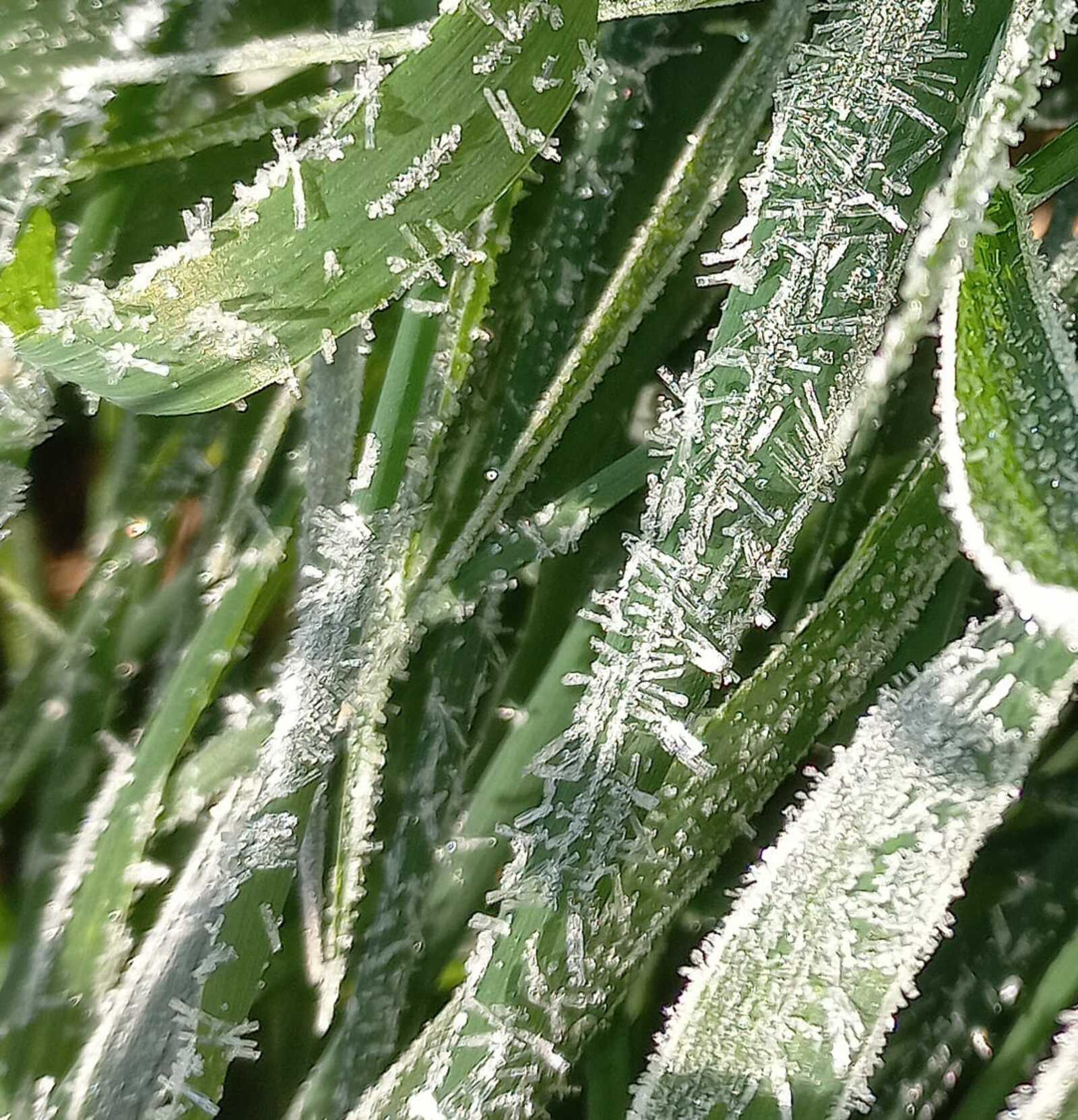 Погода на ближайшие дни