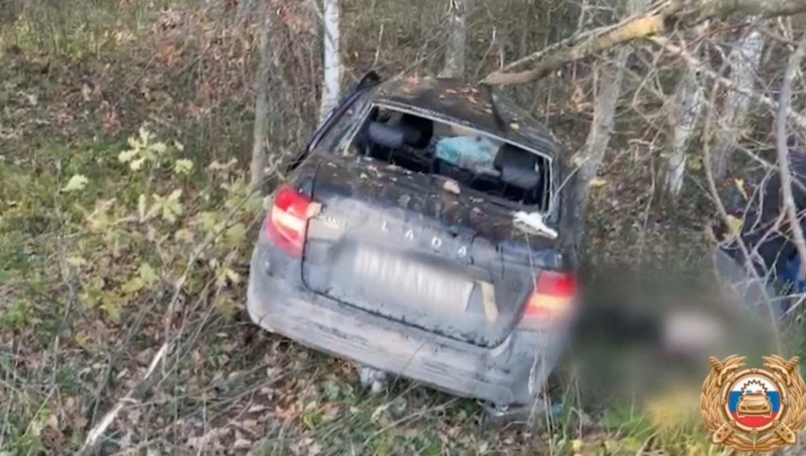 В Башкирии в ДТП лось погубил себя и водителя