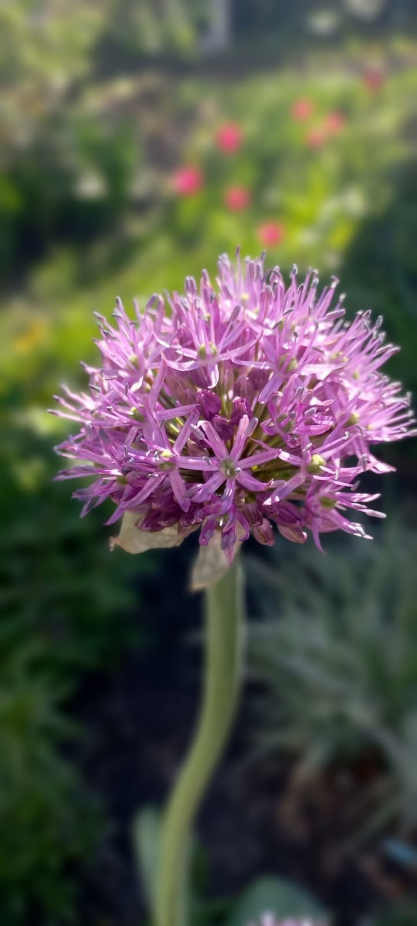 Көтәм, тигән инең дә... (хикәйә)