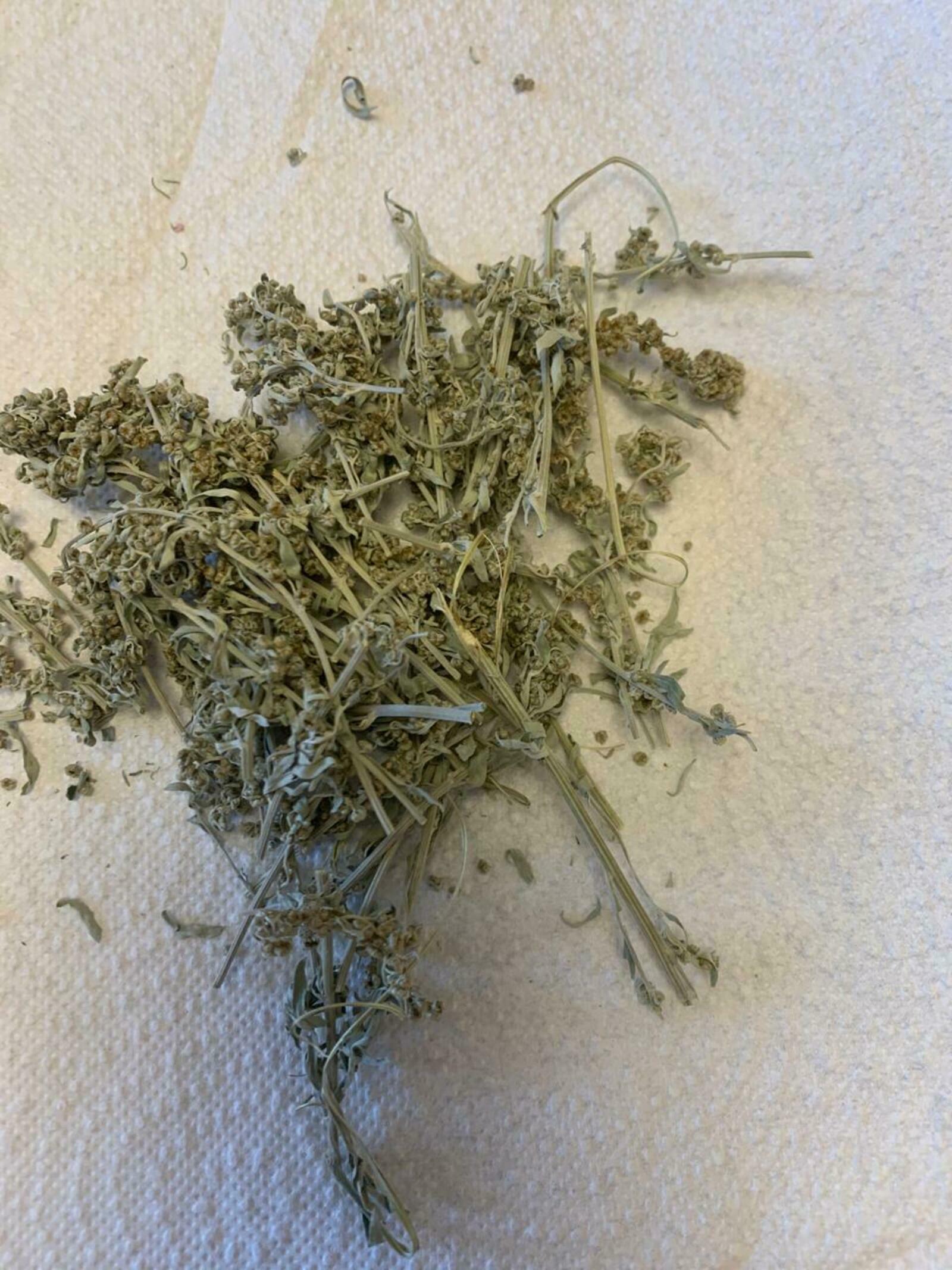 Иммунитет менән һаҡ булырға кәрәк!