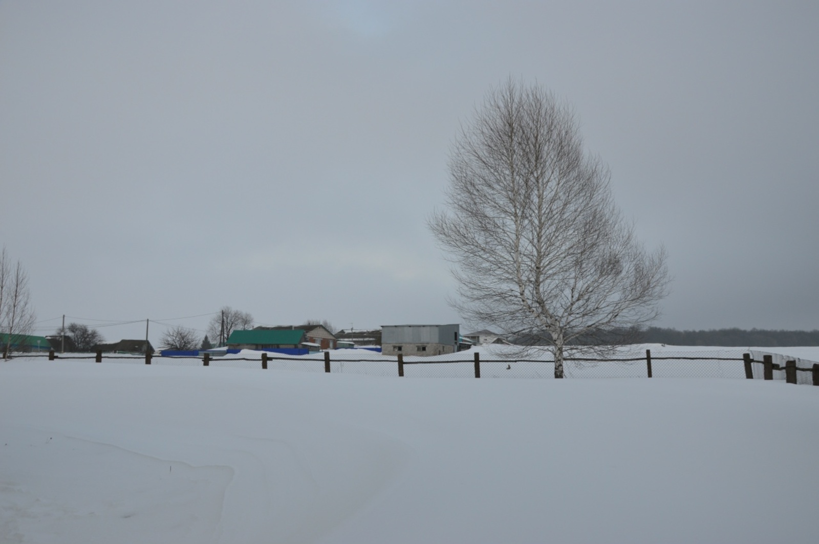 В Башкирии ожидается мокрый снег с дождем