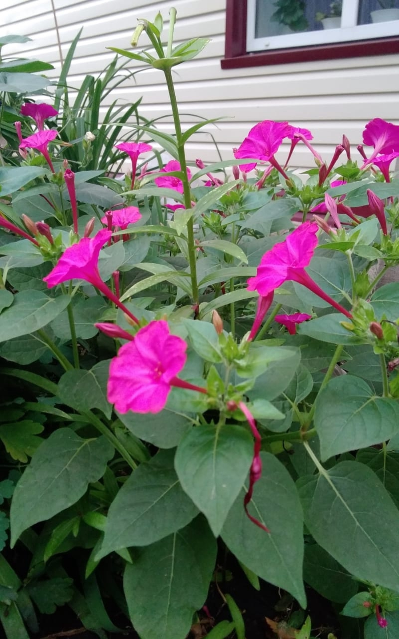 Китәһем килеп китмәйем... Хикәйә