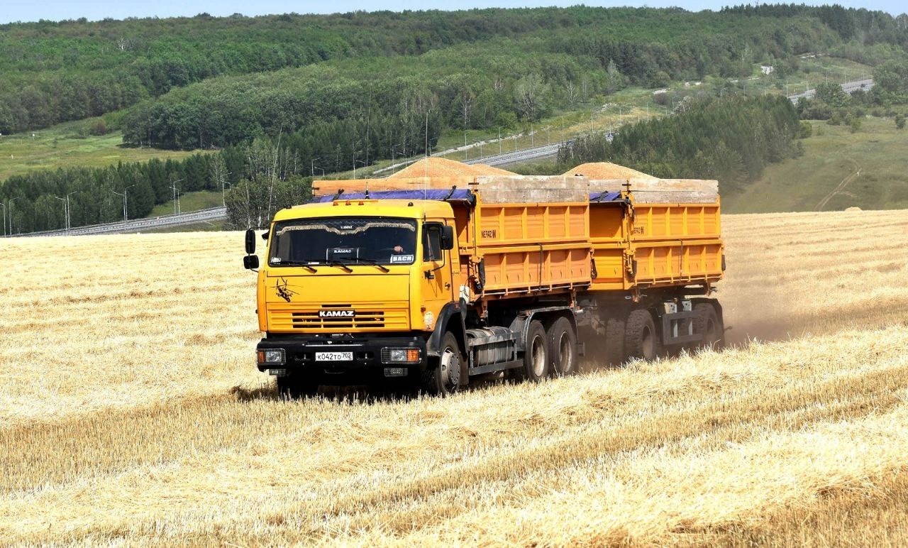 Аграрии Башкирии приступили к уборке зерновых и зернобобовых культур раньше привычных сроков