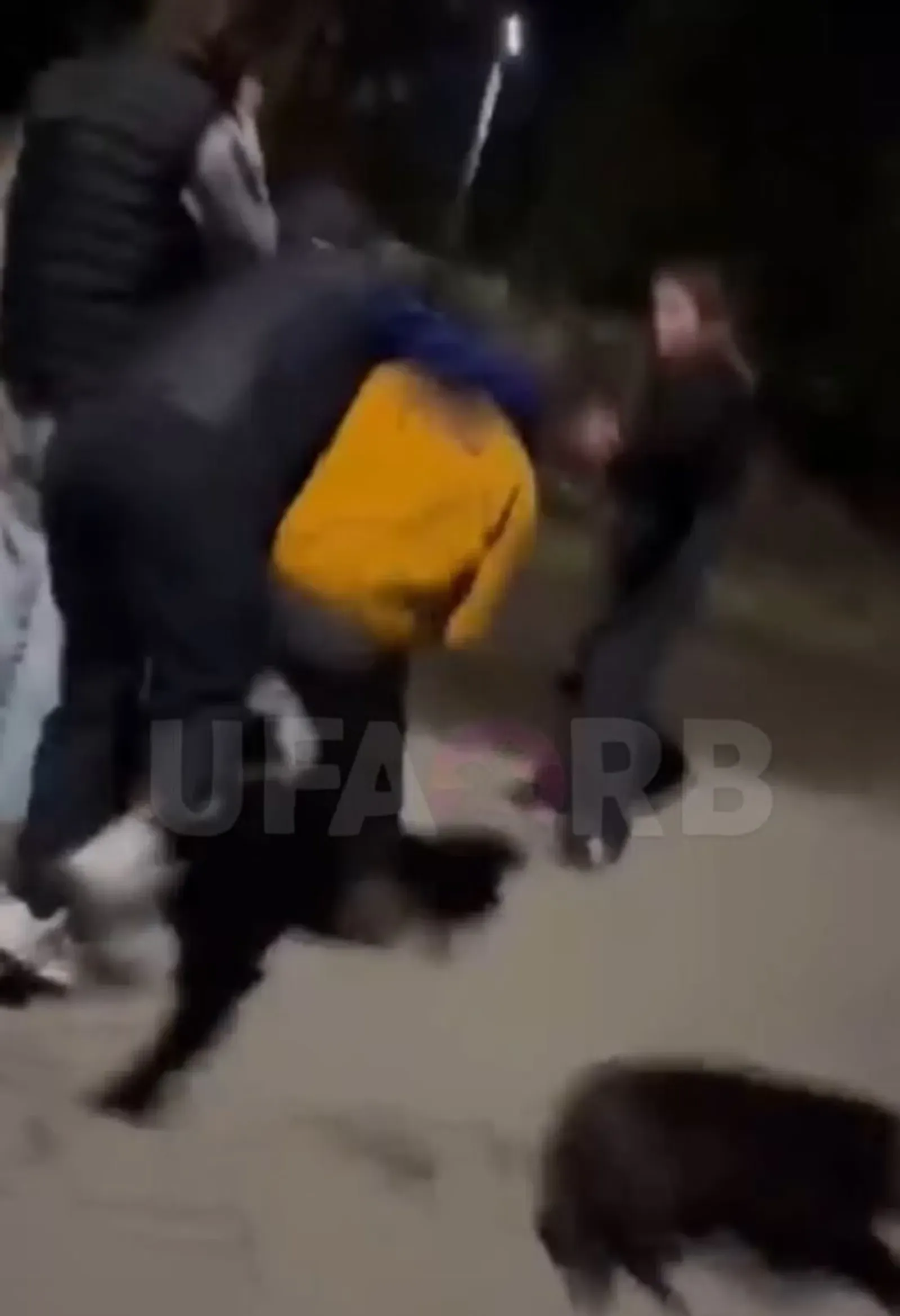 В Уфе на улице компания молодых людей напала на семью