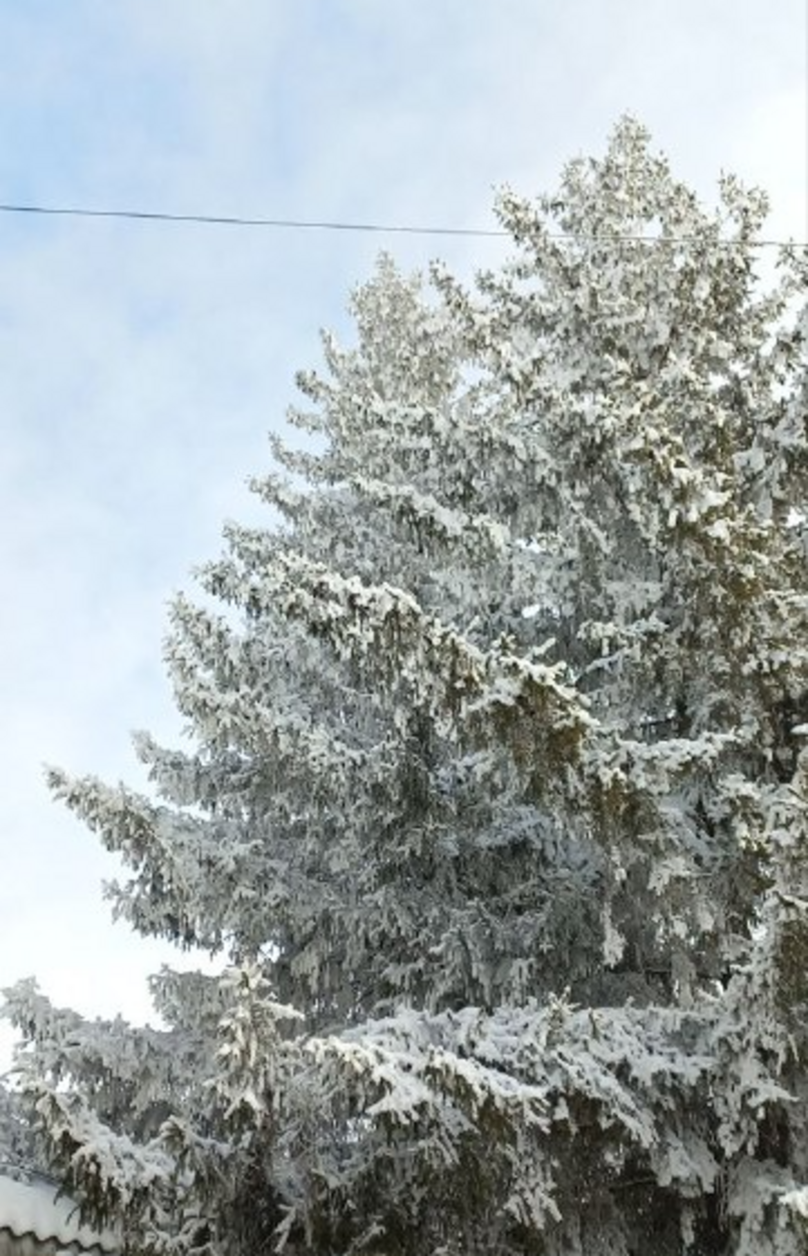 Мокрый снег и гололед: в Башкирию пришло потепление