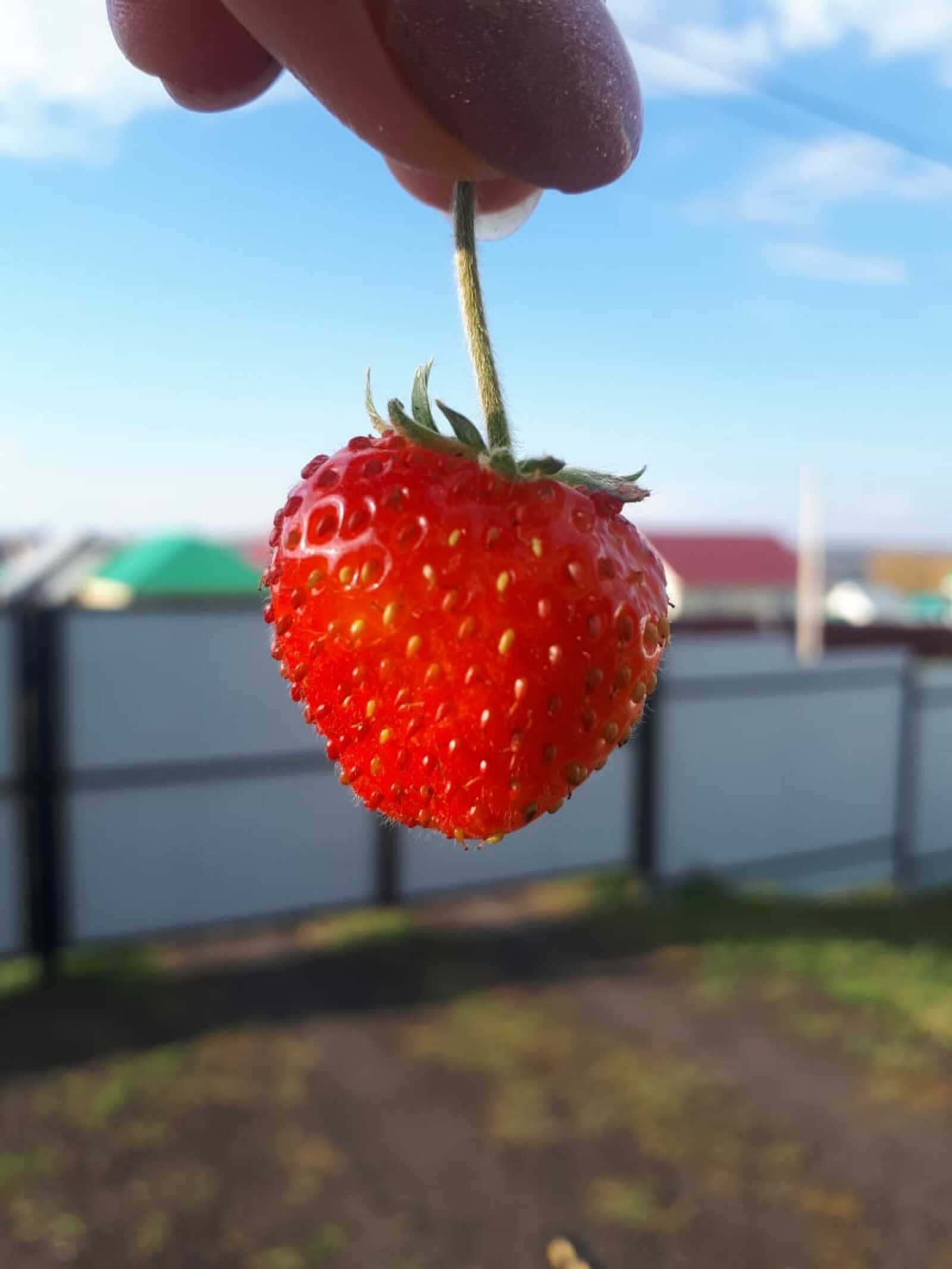 Бик кәрәкле кәңәштәр