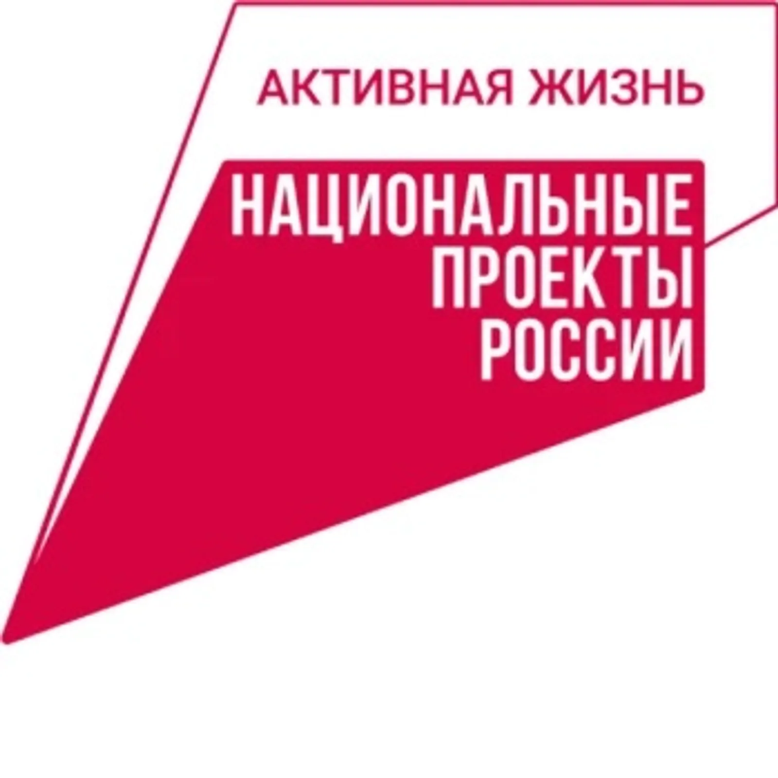 Нацпроект помог обновить автопарк больницы города Кумертау