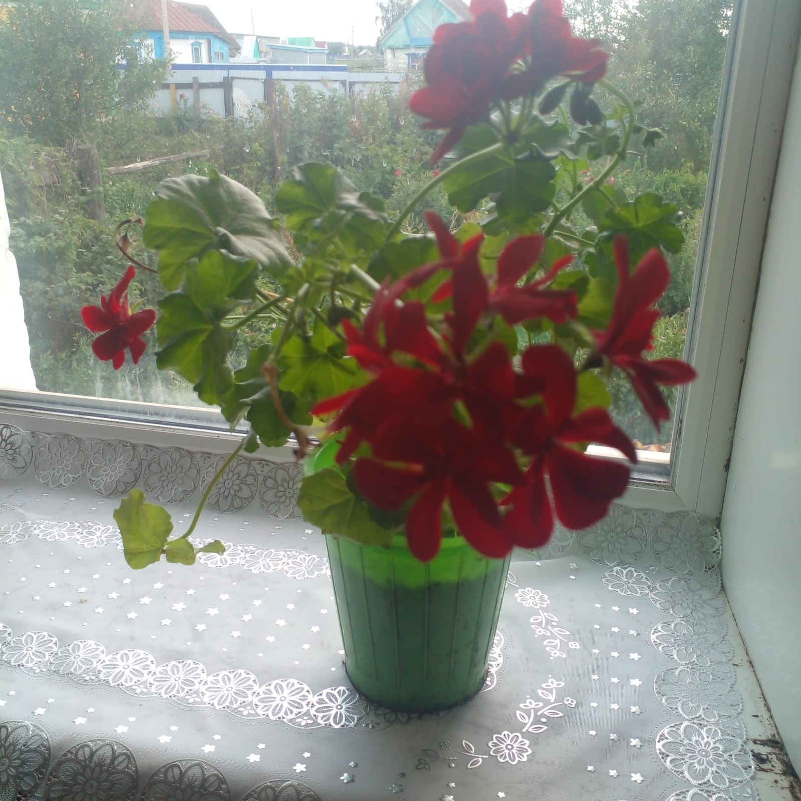 Ҡәйнәм балама әсәй булмаҡсы...