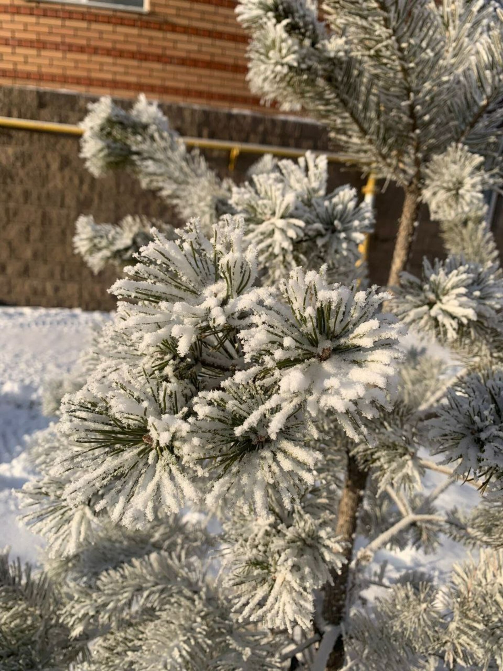 Спасатели Башкирии предупредили об ухудшении погоды