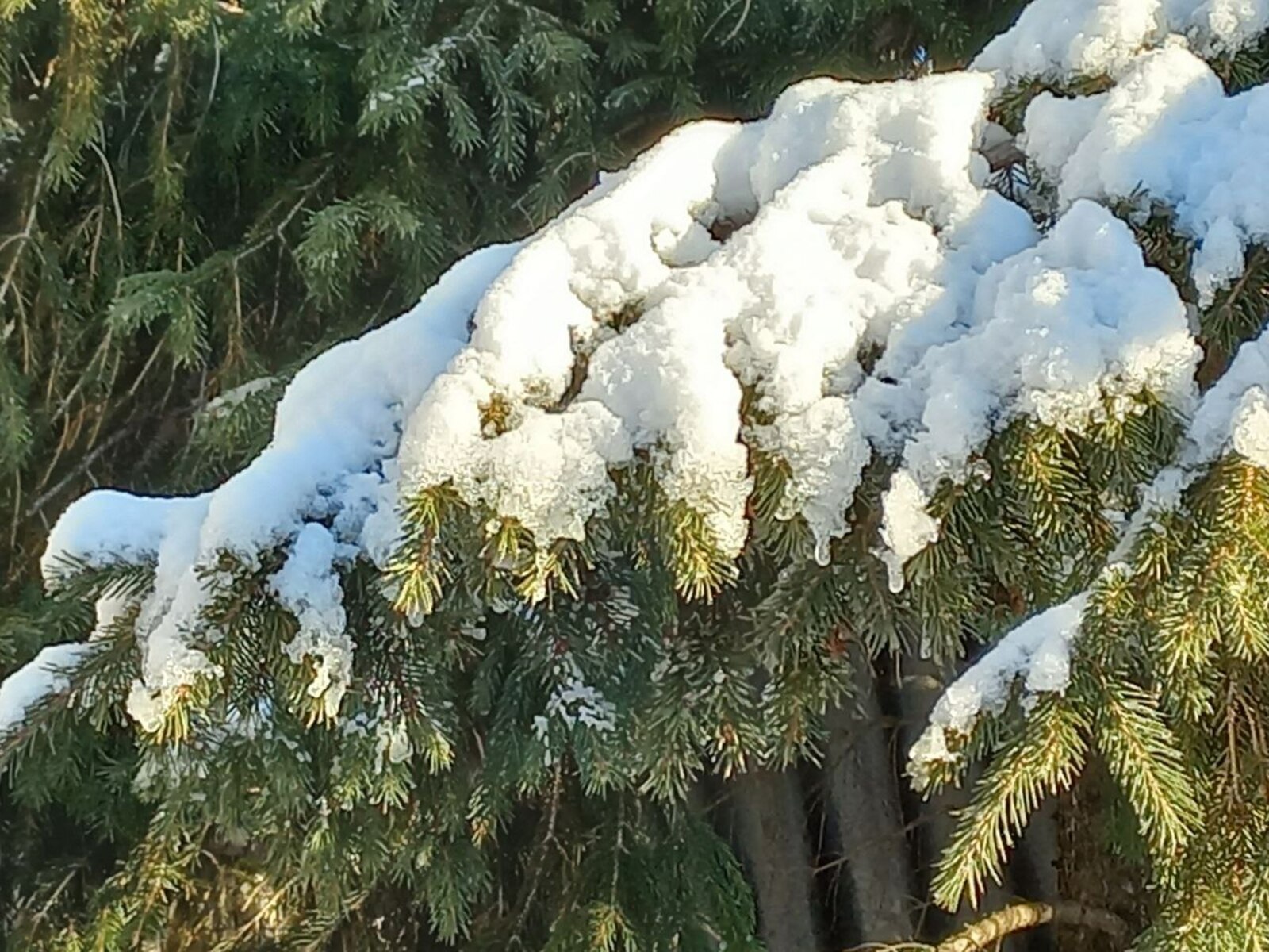 В Башкирии резко похолодает в четверг