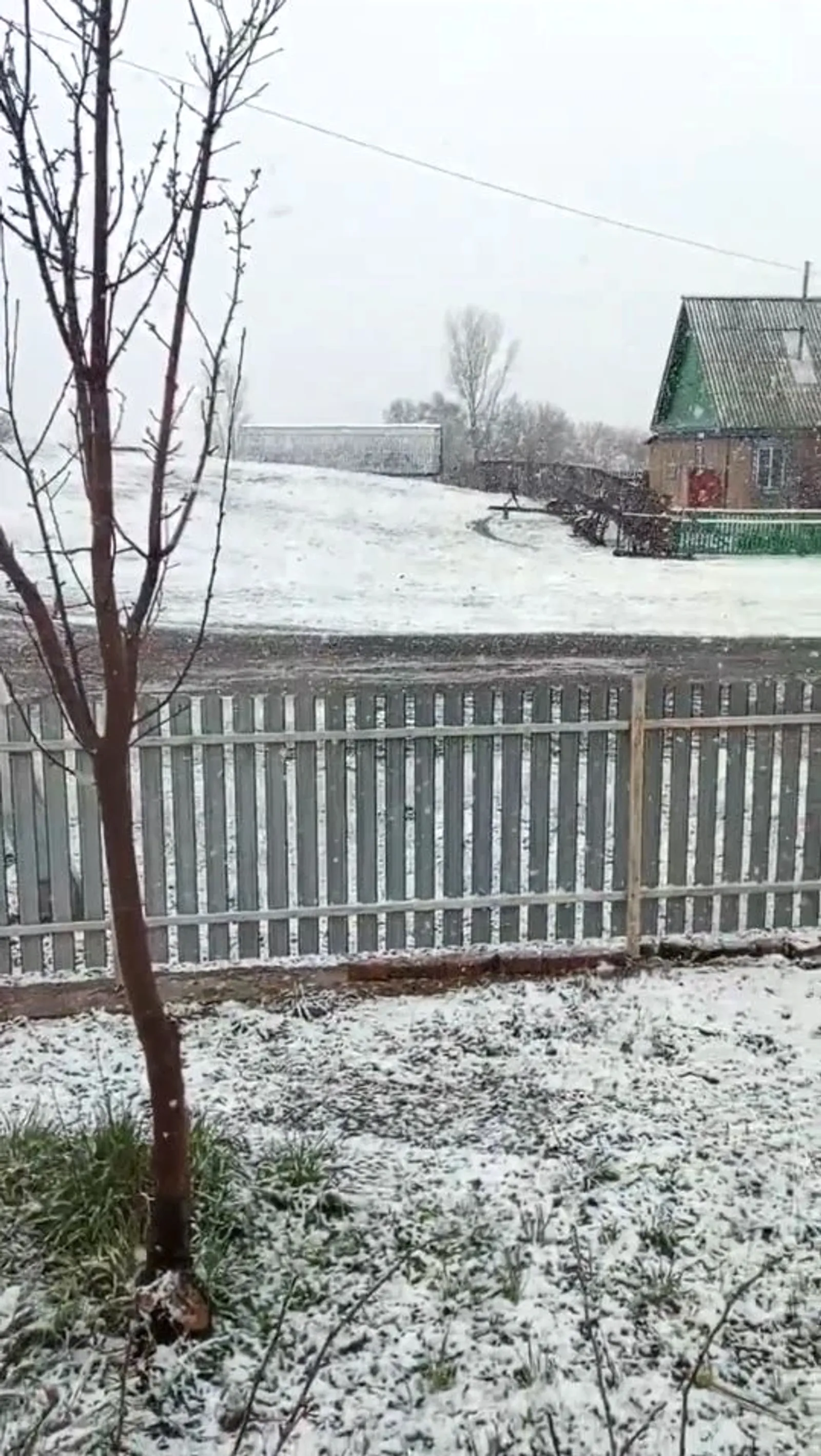 Погода на выходные