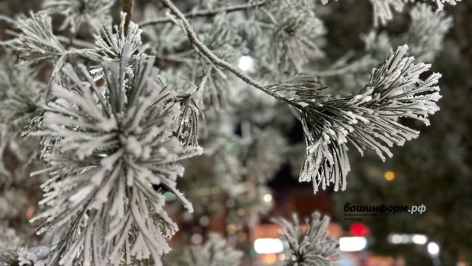 Республикала 34 градус һыуыҡ булыуы фаразлана