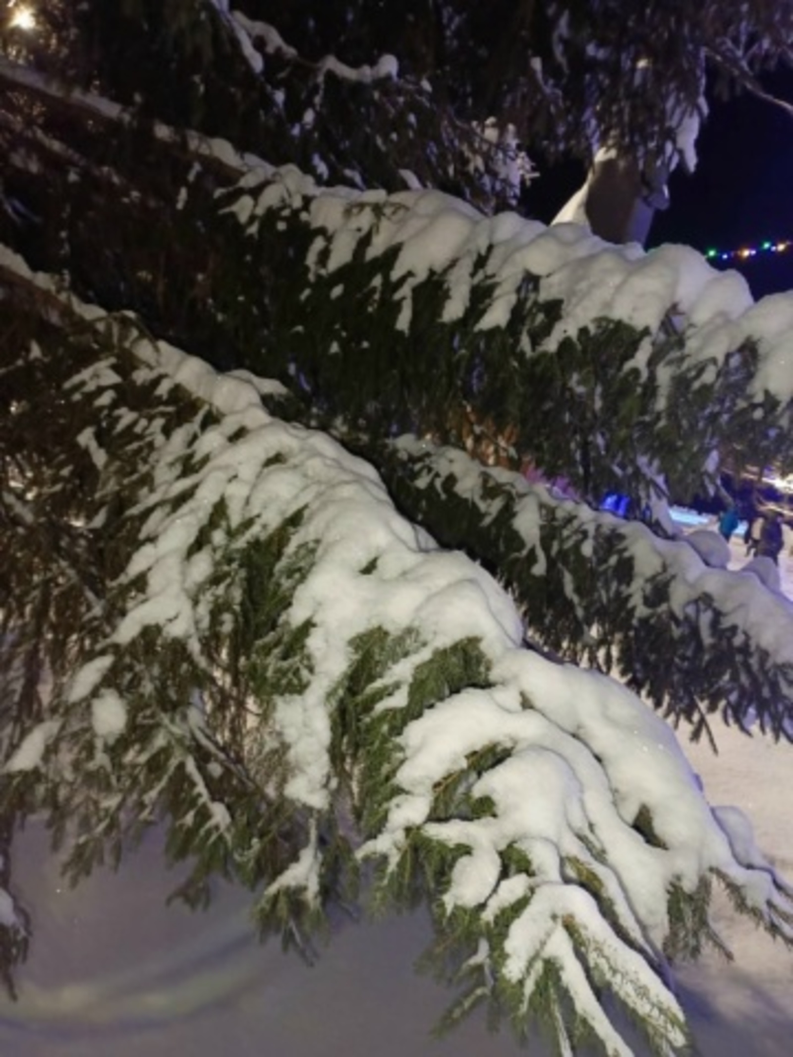 5 января в Башкирии прогнозируется сильный ветер, метель и снежные заносы