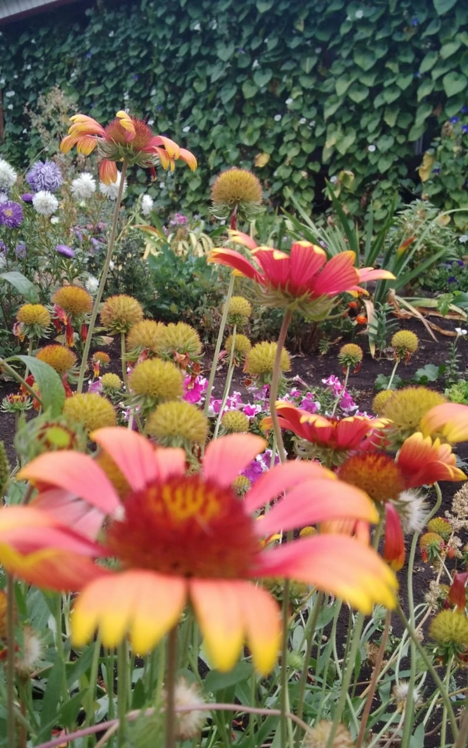 Улғынам (Хикәйә)