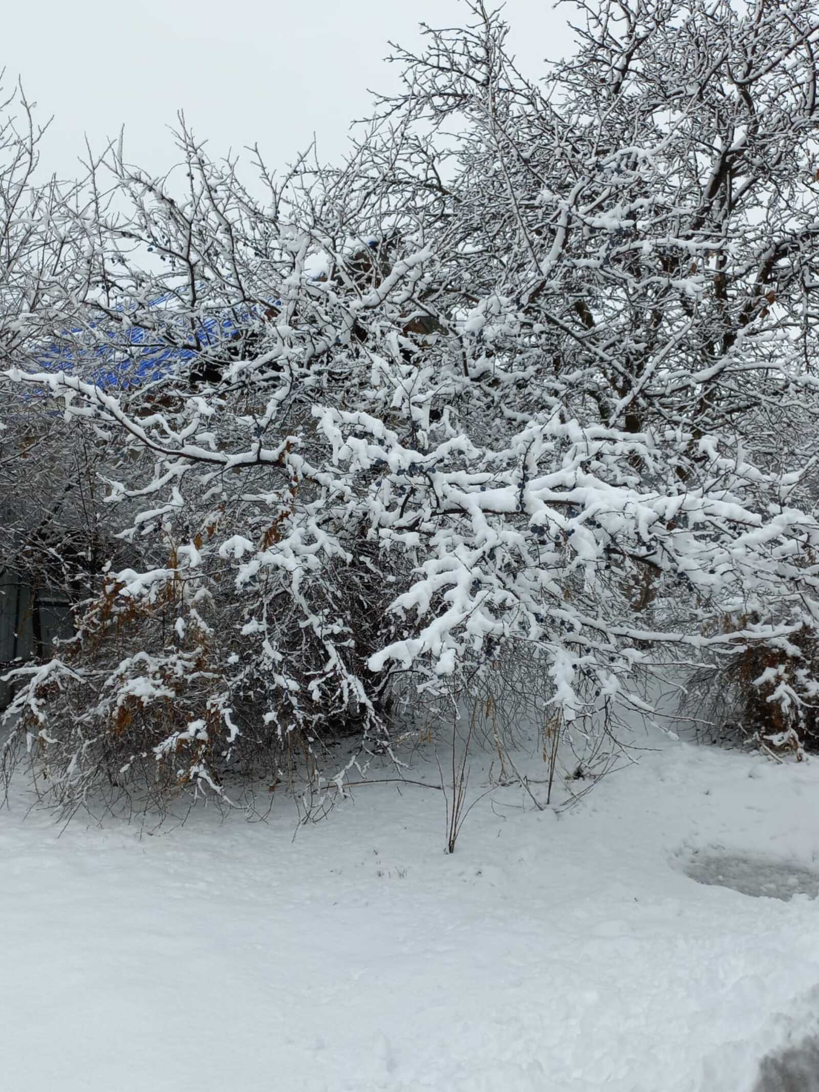 Синоптики рассказали о погоде в ближайшие дни