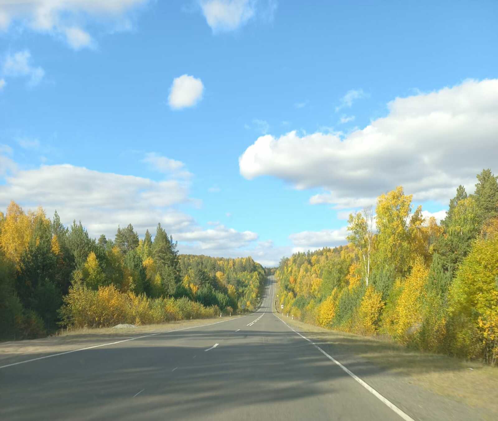 Как сквозняки влияют на иммунитет