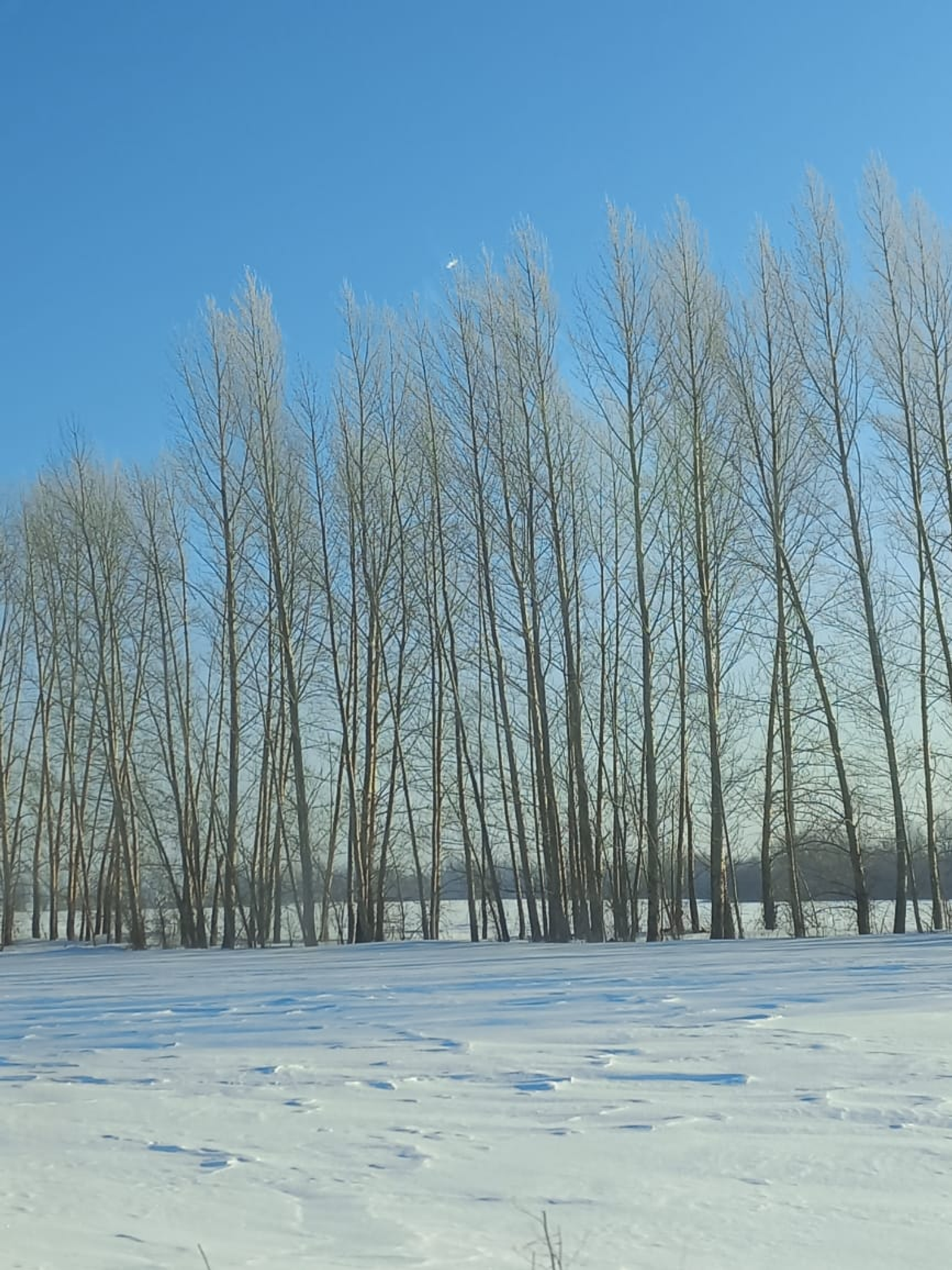 Жителей республики ожидают температурные качели