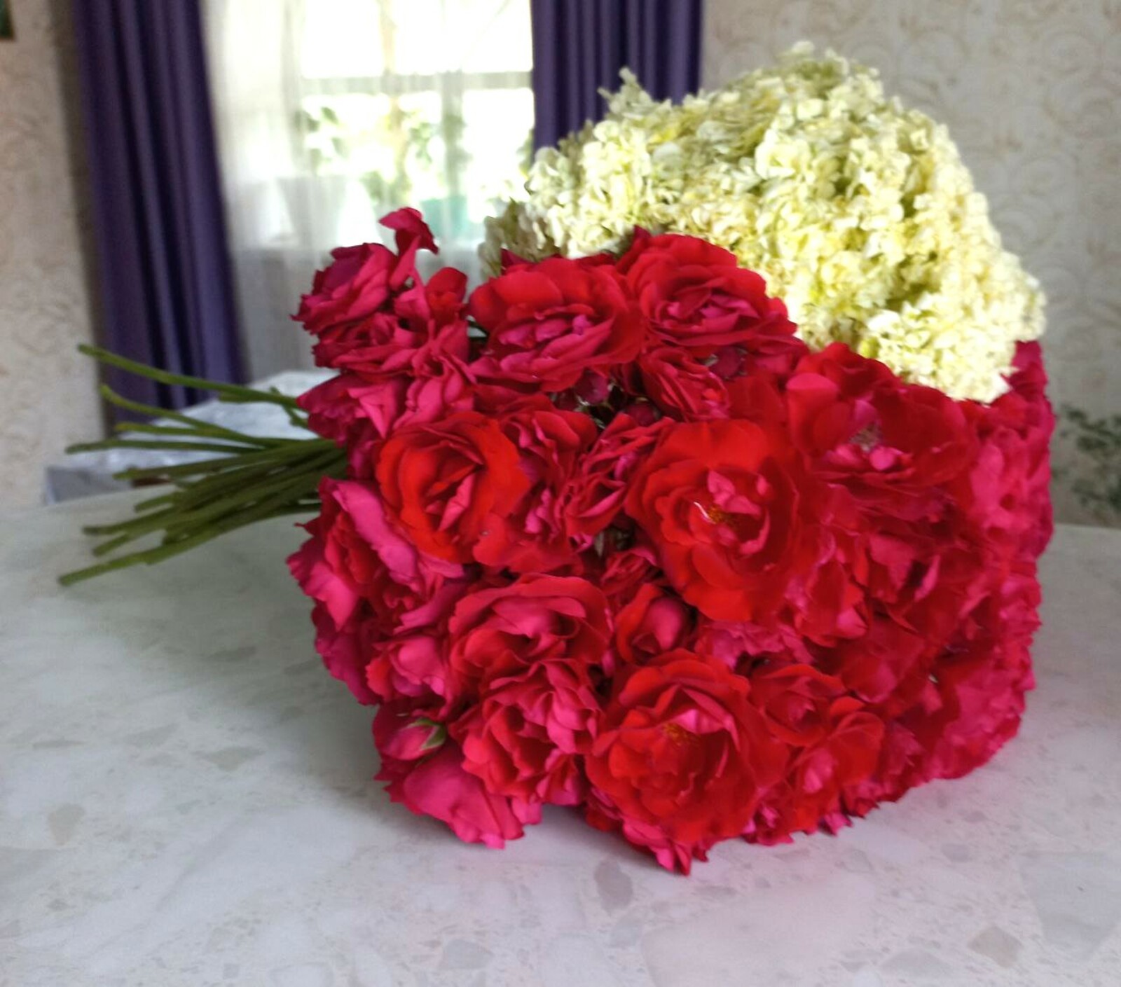 Врач из Уфы перечислила самые опасные виды цветов