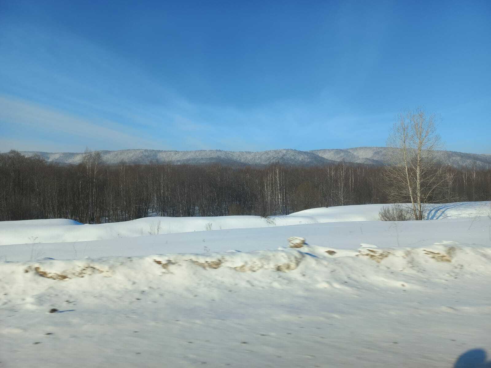 Стало известно, когда в Башкирию придет весна