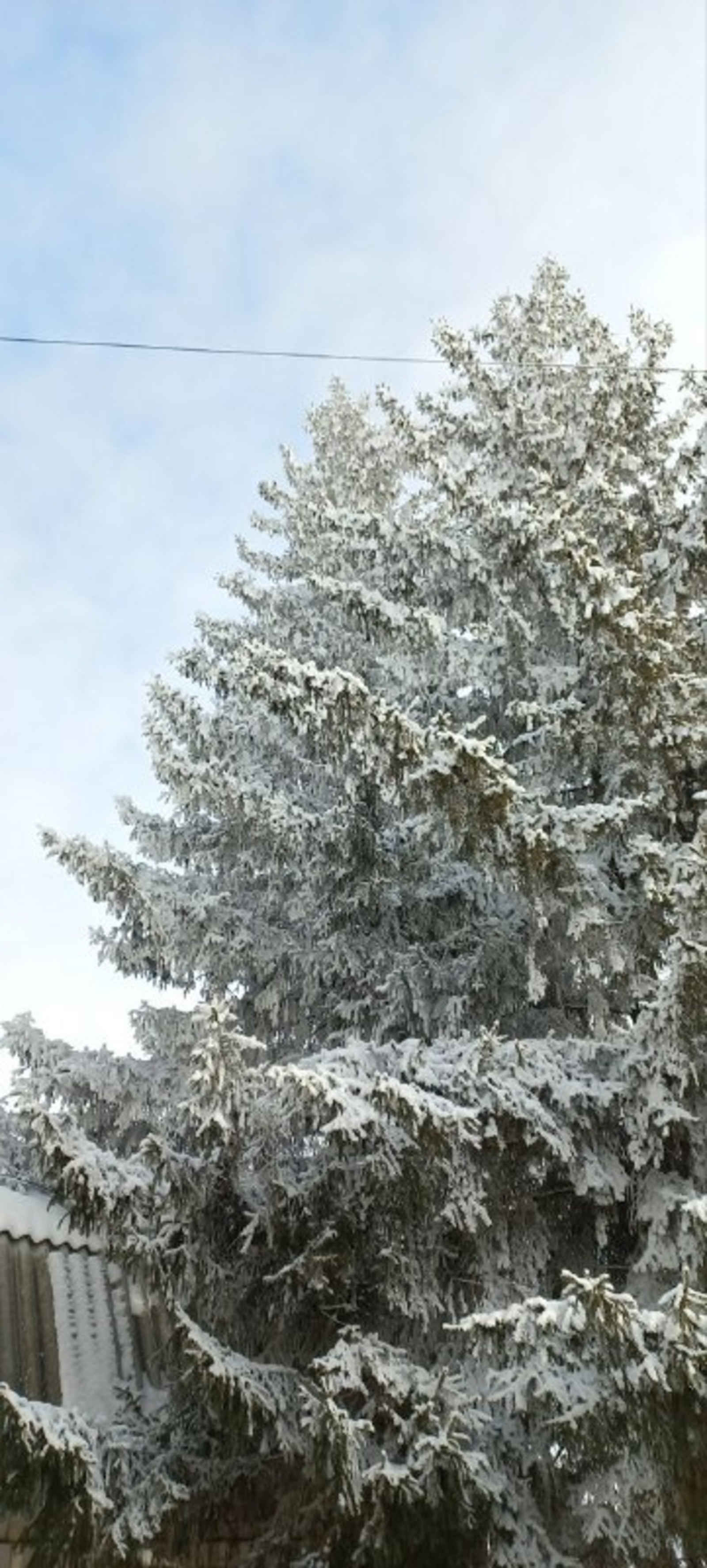 Прогноз погоды на ближайшие выходные