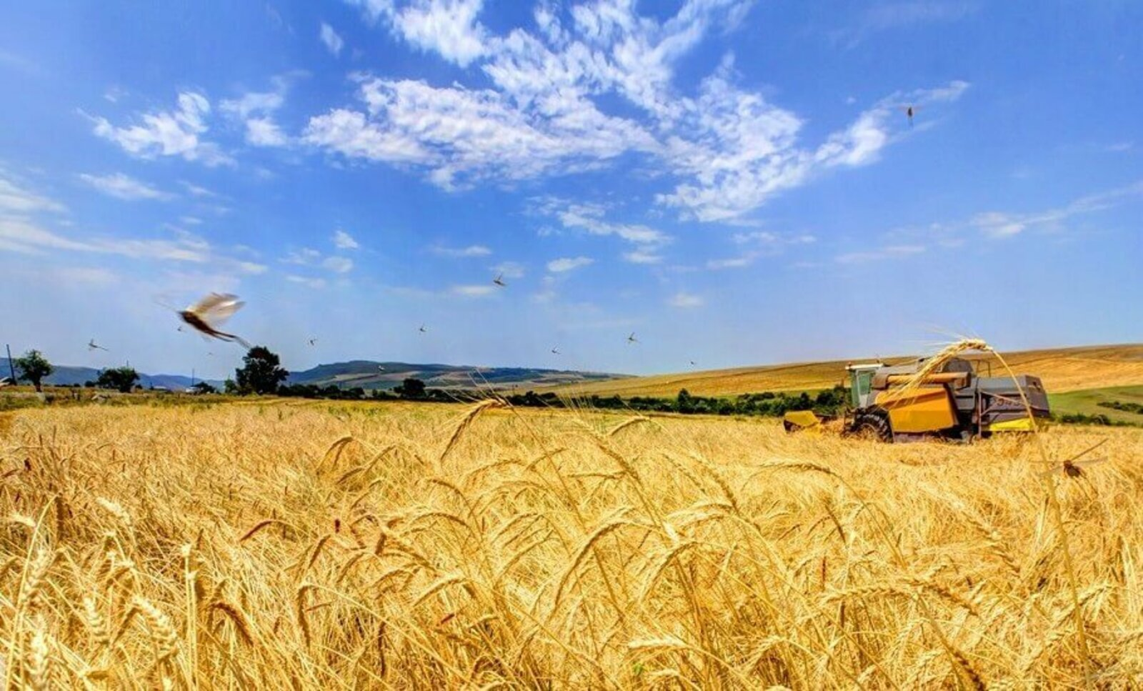 Иң юғары уңыш - Ҡырмыҫҡалыла!