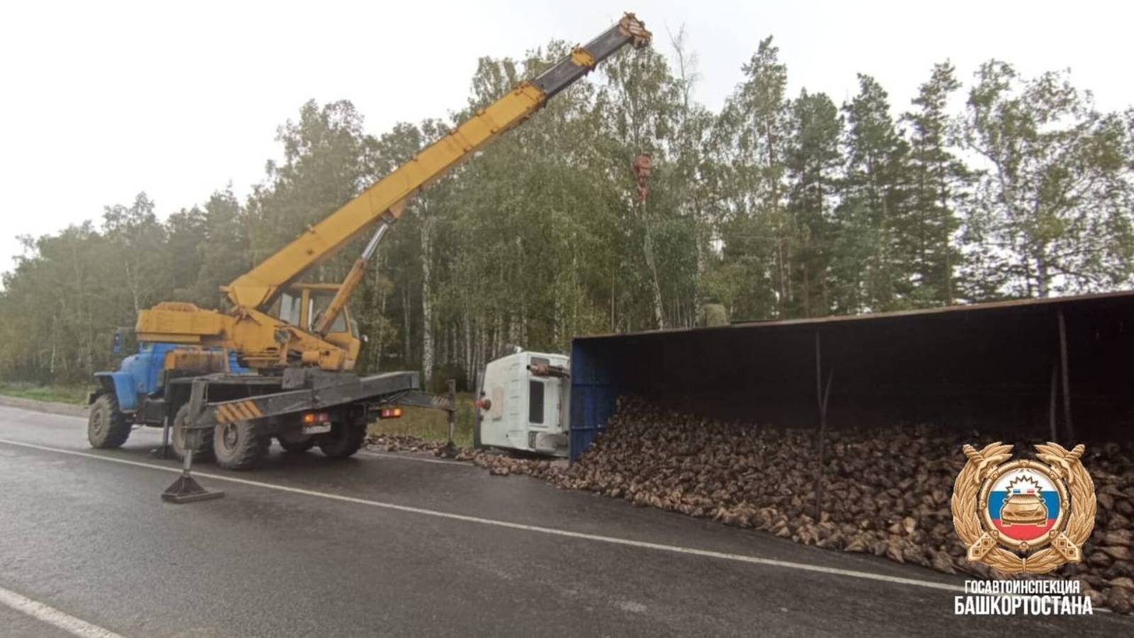 В Башкирии на дороге опрокинулся грузовик с сахарной свеклой
