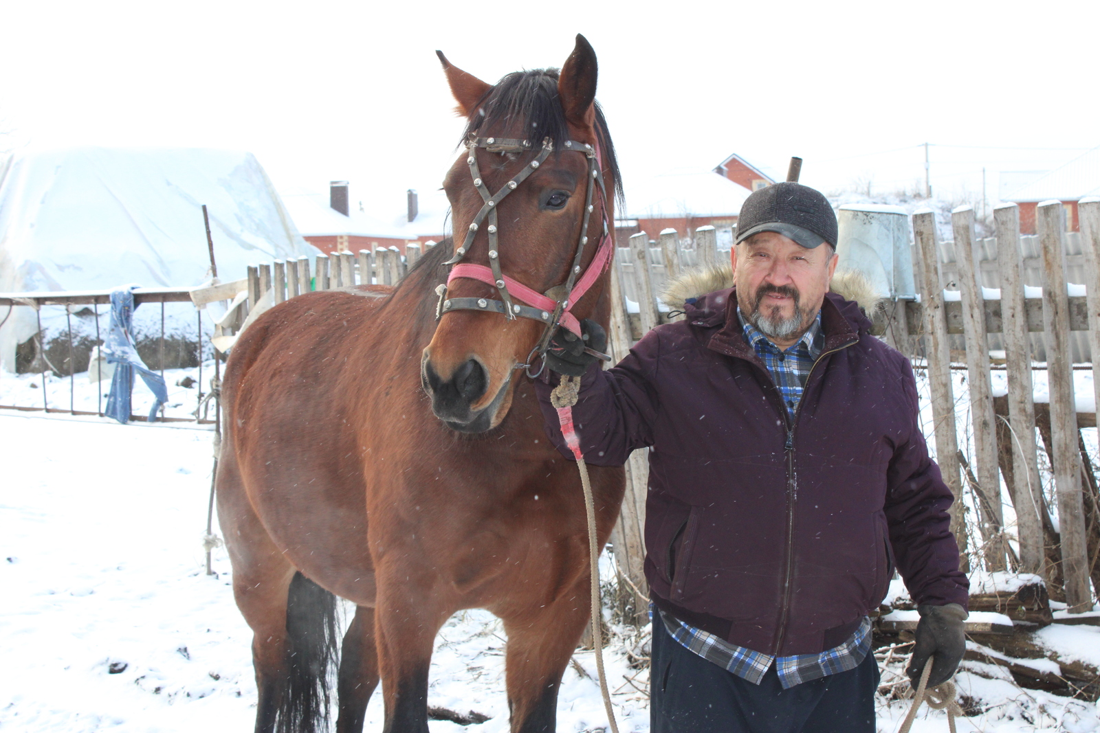 Аты барҙың ҡанаты бар