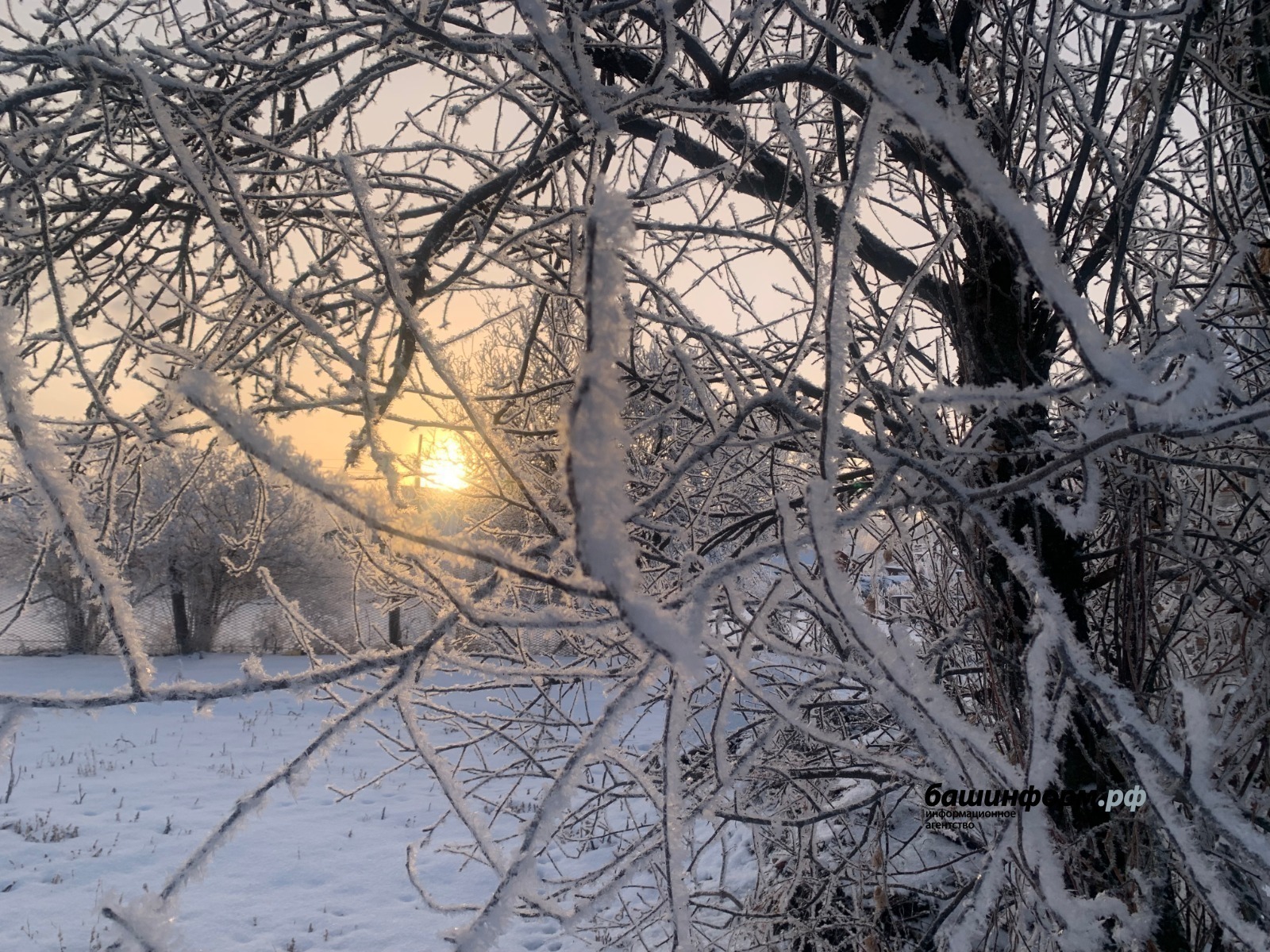 В Башкирии начались самые короткие световые дни в году