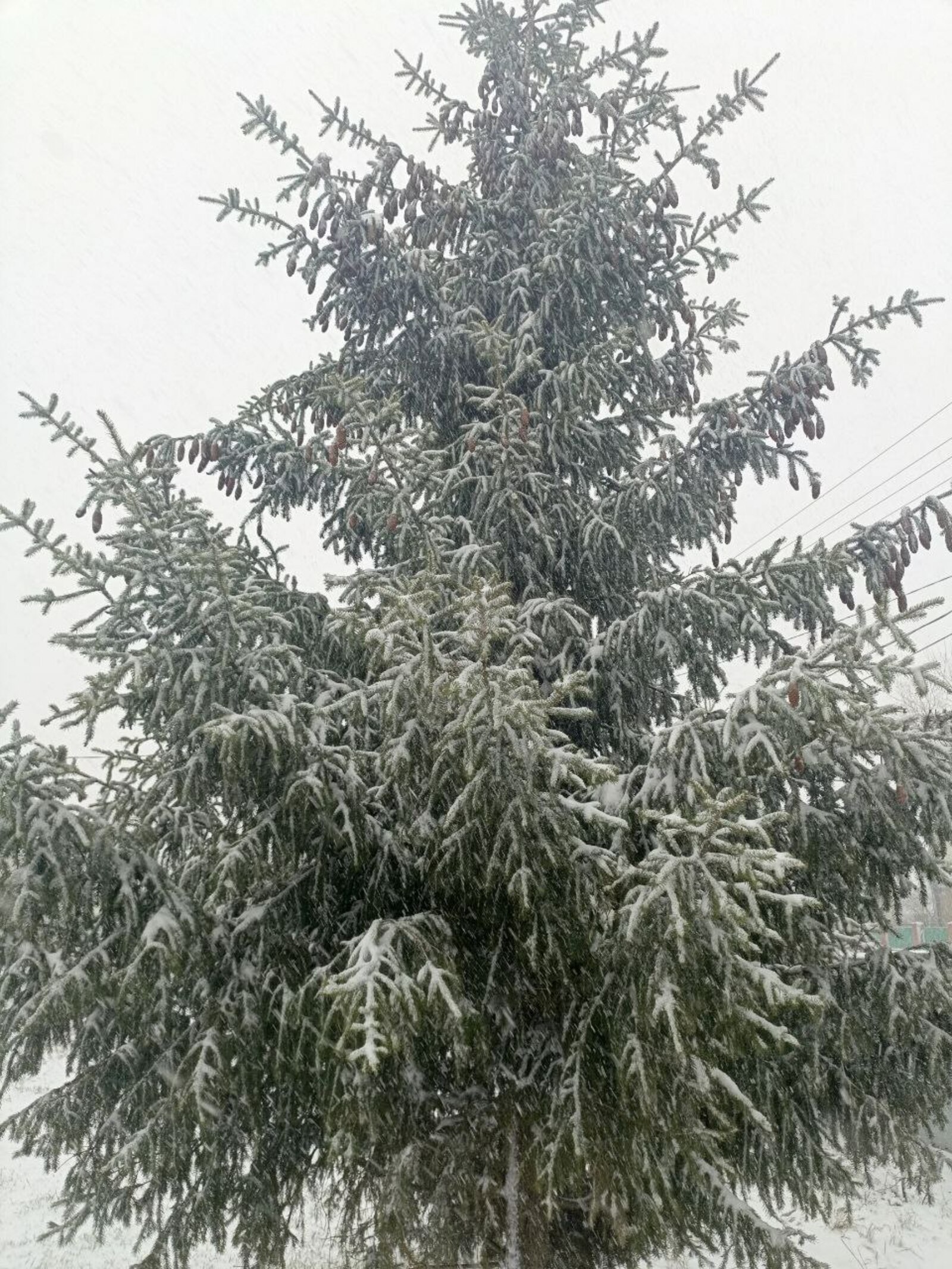 Начало недели в Башкирии будет морозным