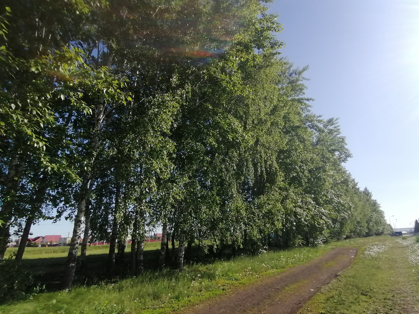 Сиктең сигендә