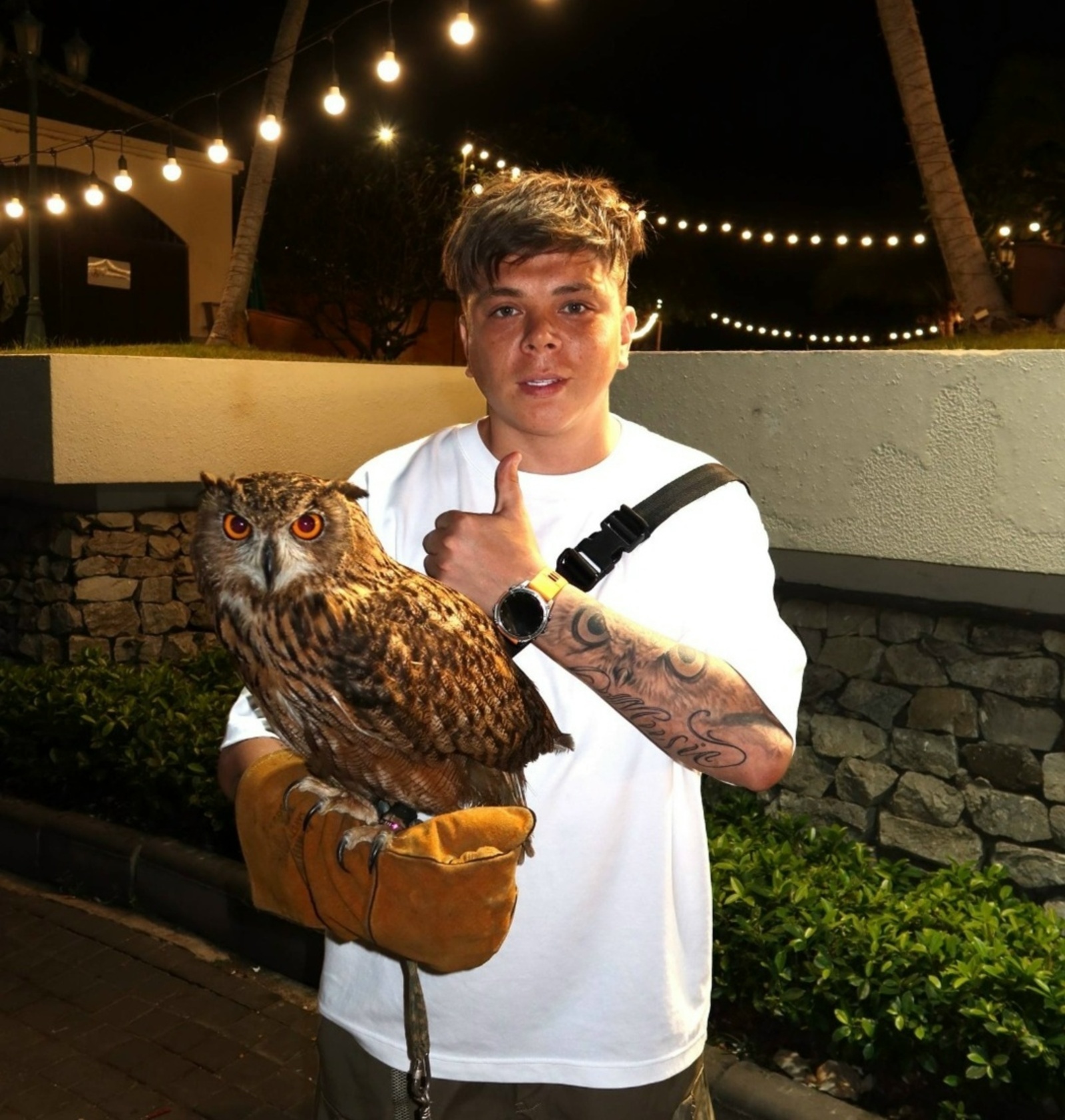 Элвин Грейҙың талисманын беләһегеҙме?