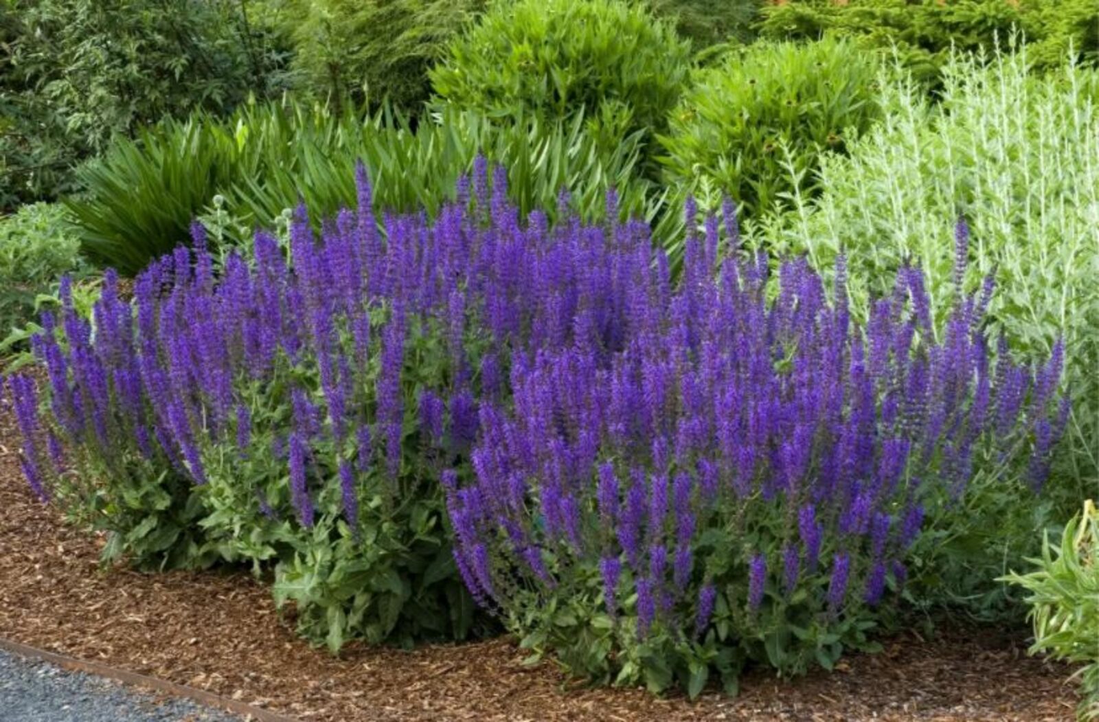 Егерме йыллыҡ хыял (хикәйә)