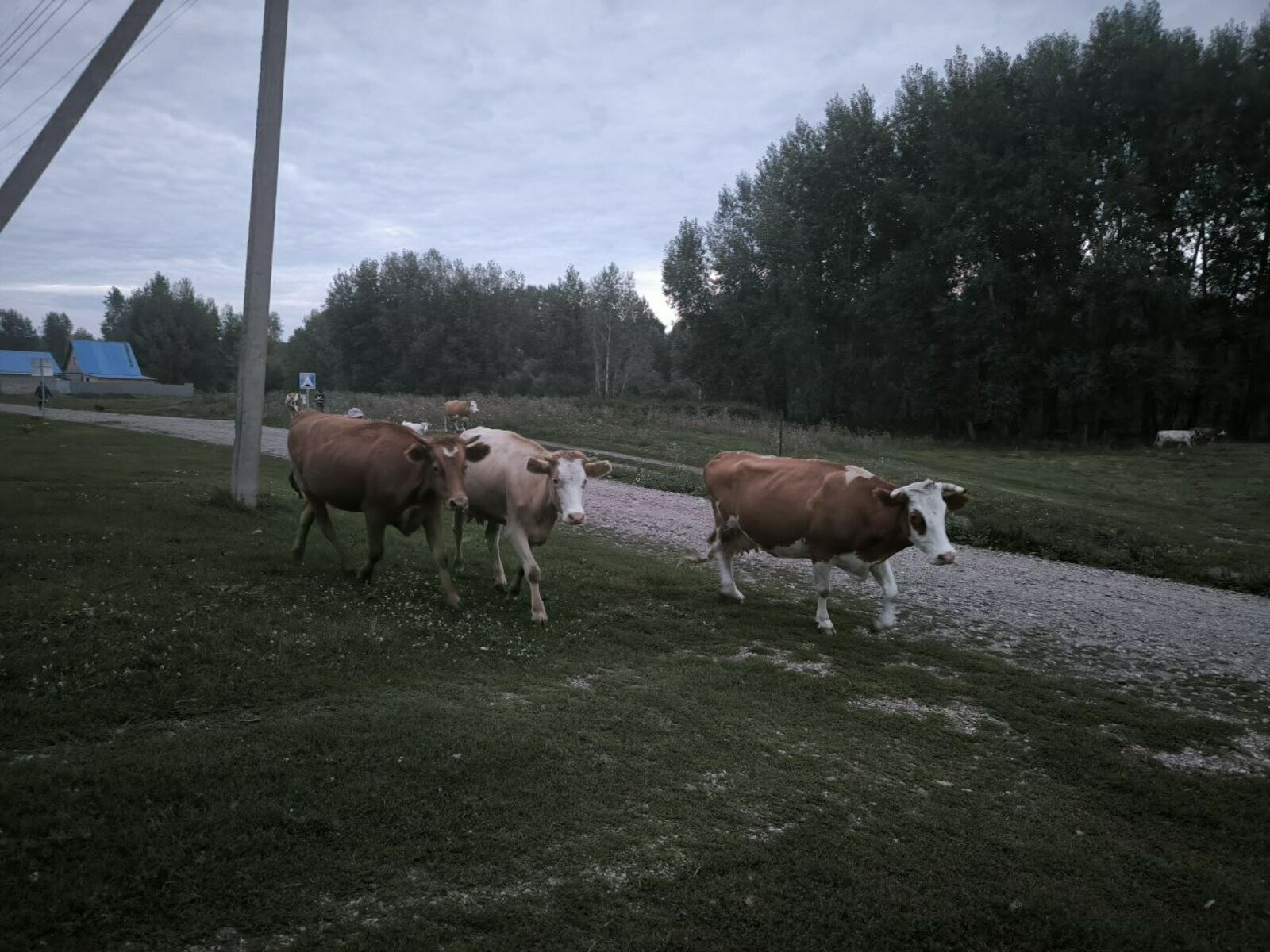 Һөттөң файҙаһы