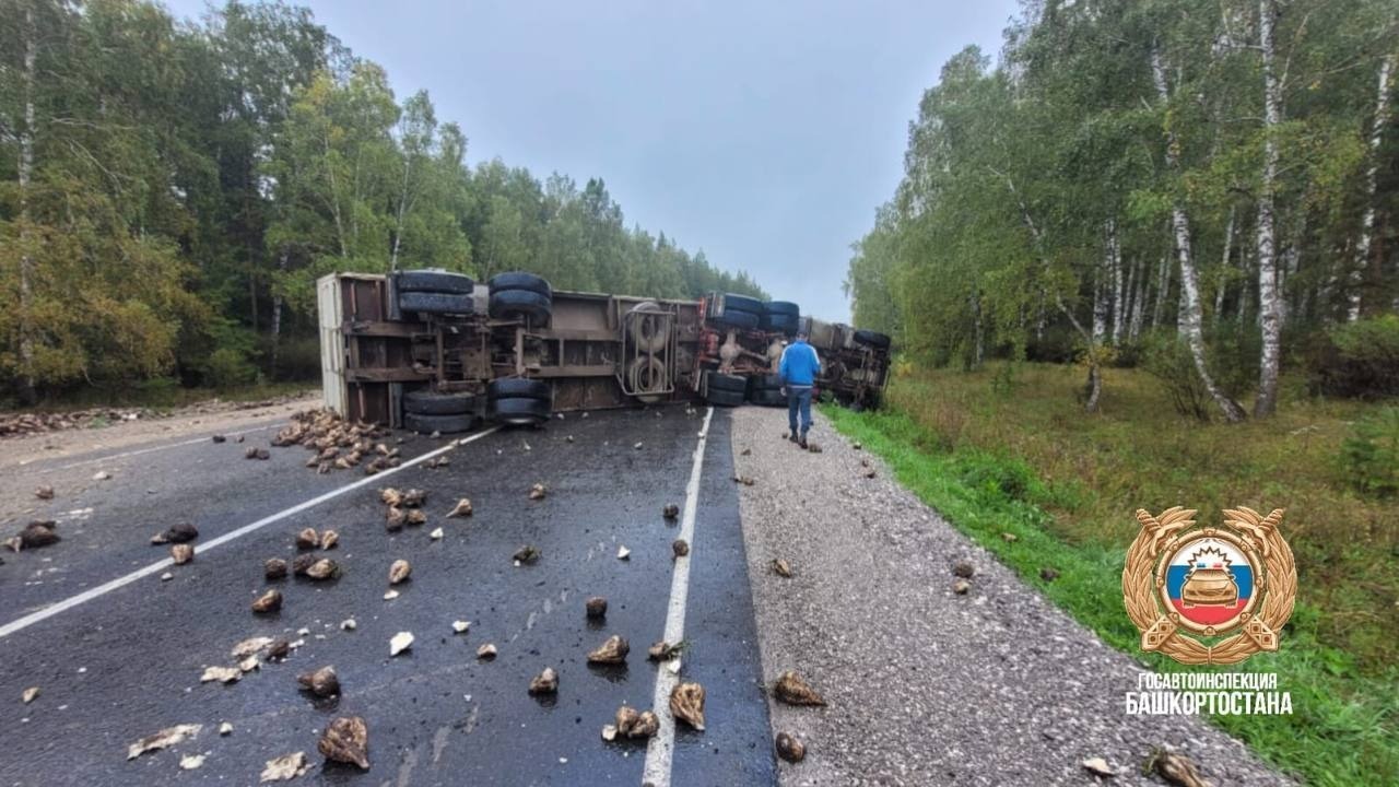 В Башкирии на дороге опрокинулся грузовик с сахарной свеклой