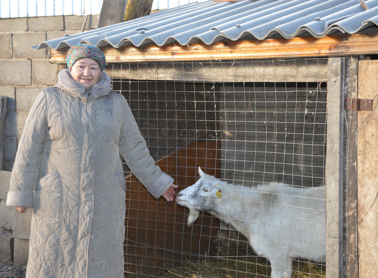 Тормош һынауҙарына бирешмәй