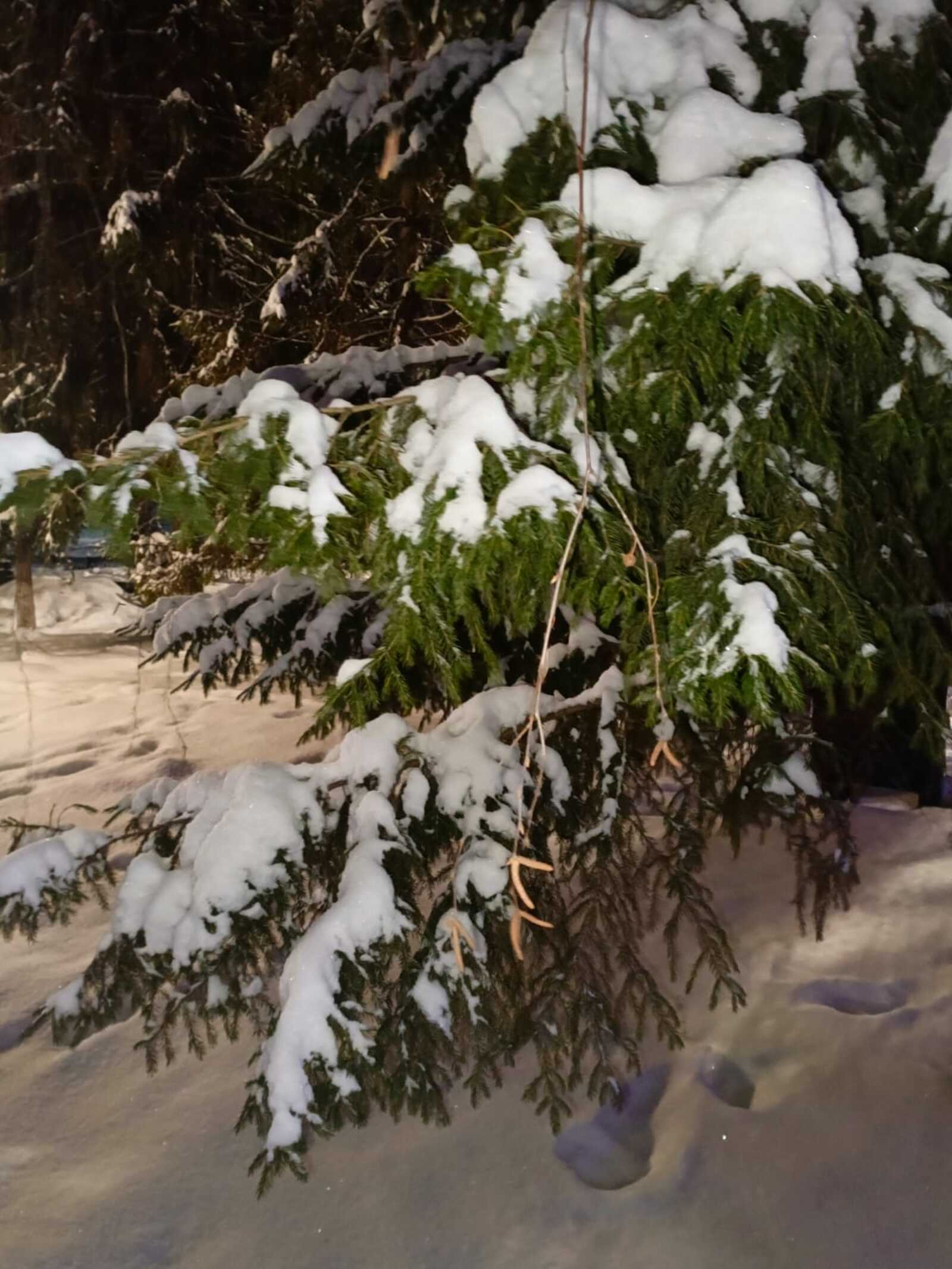 Синоптики рассказали о погоде в Башкирии на выходные дни