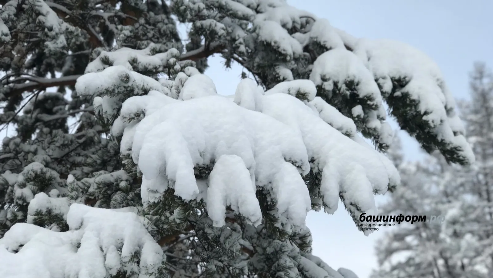 Резкое похолодание в Башкирии: до −5 °C и дождь со снегом