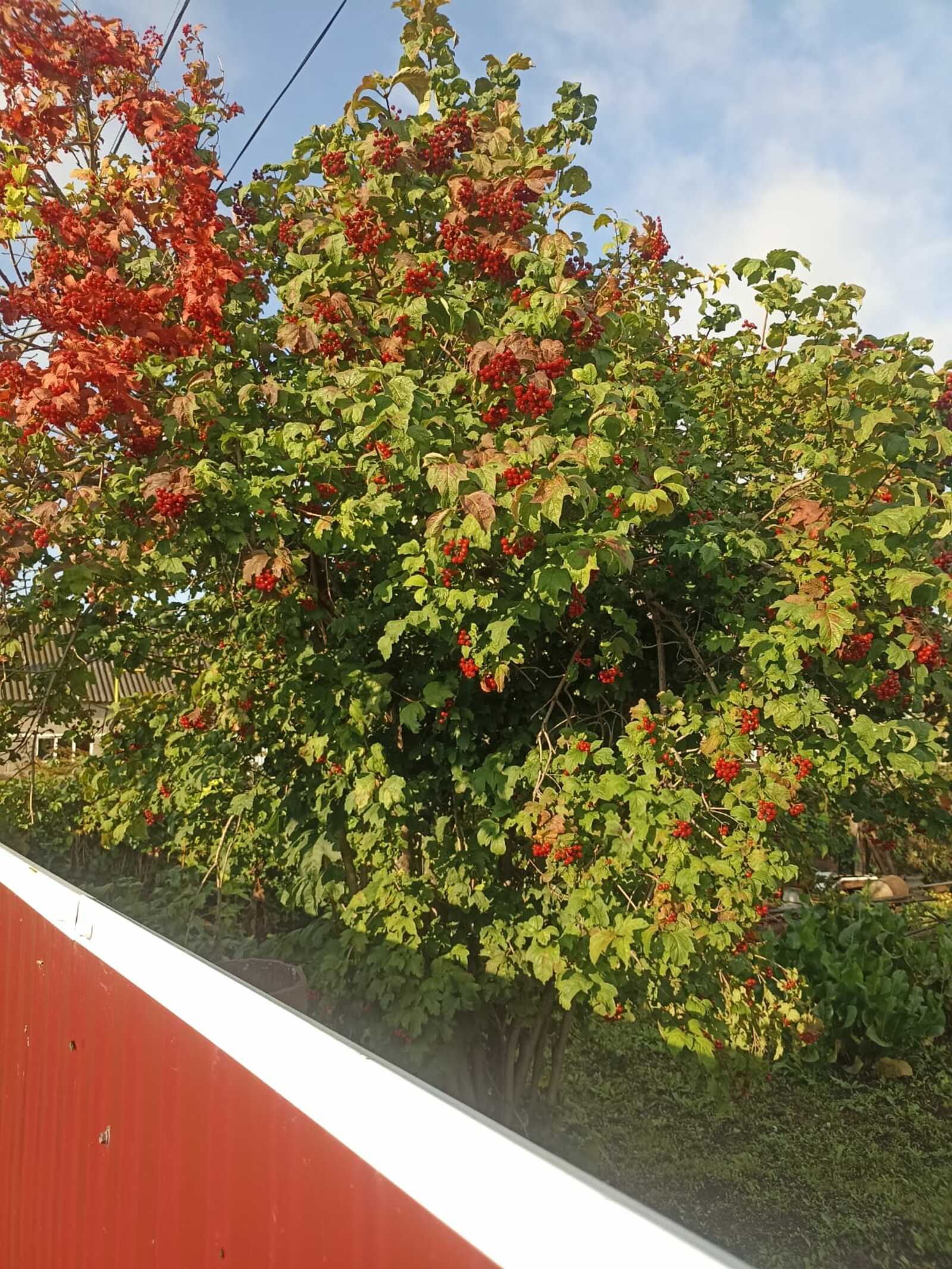 Һауаларҙың сафлығы йәки Көсләү (повесть)